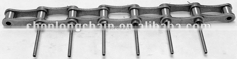 Double pitch conveyor chain with extended pin