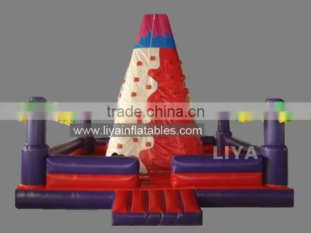 Hot sale inflatable climbing wall/inflatable rock wall products