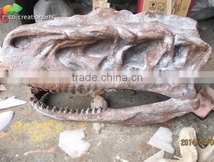 Hot sale fiberglass life size dinosaur skull
