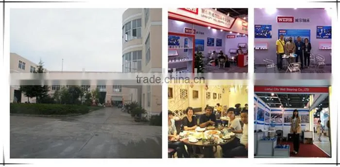 Linear Roller Guide Bearings