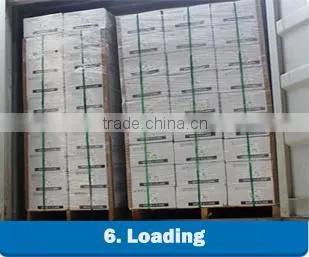 single side or double side Shielding Copper Foil