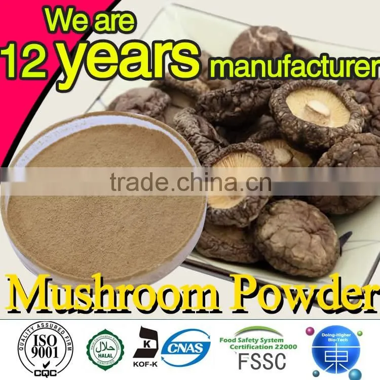Natural high quality mushroom powder Health reishi mushroom powder