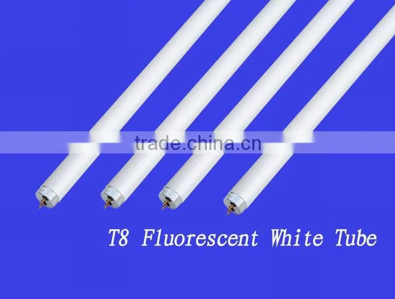 20W 40W T8 Fluorescent Lamp T8 Light 3000HOURS