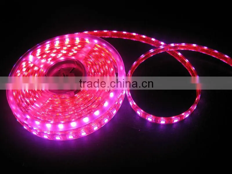 36leds ws2801 Digital led strip light
