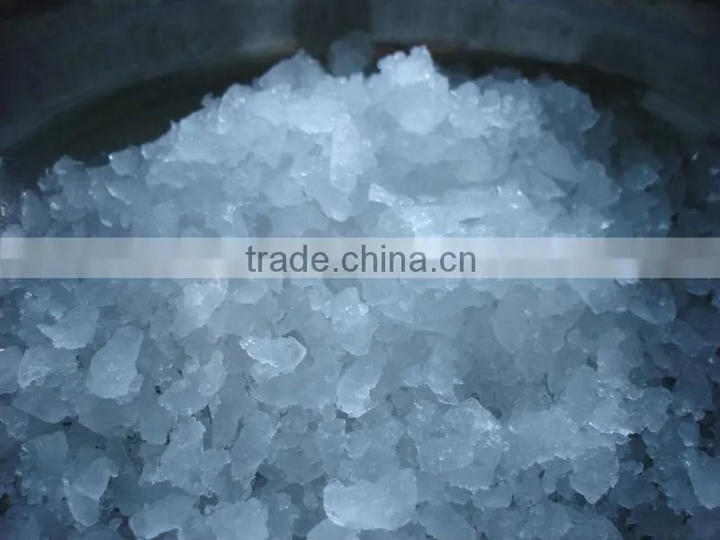 Flake Ice Maker