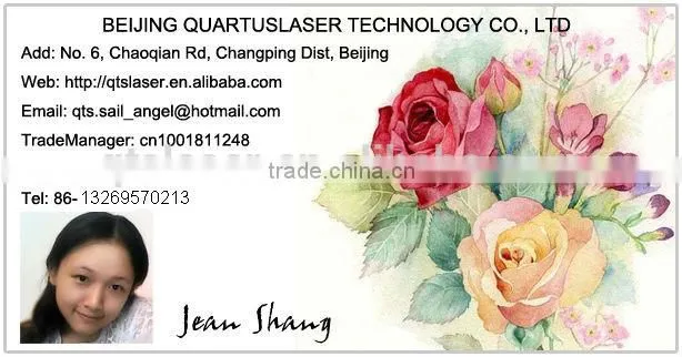 Salon/home use diode laser power supply for permanent hair removal