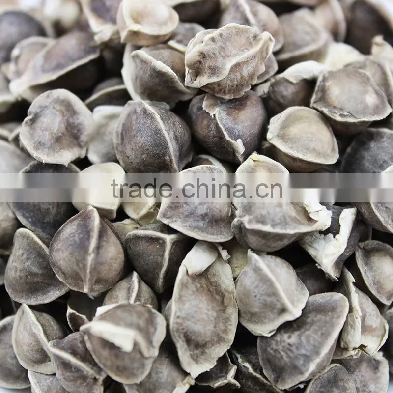 Flavored Tea seed Tea Moringa organic tea drink