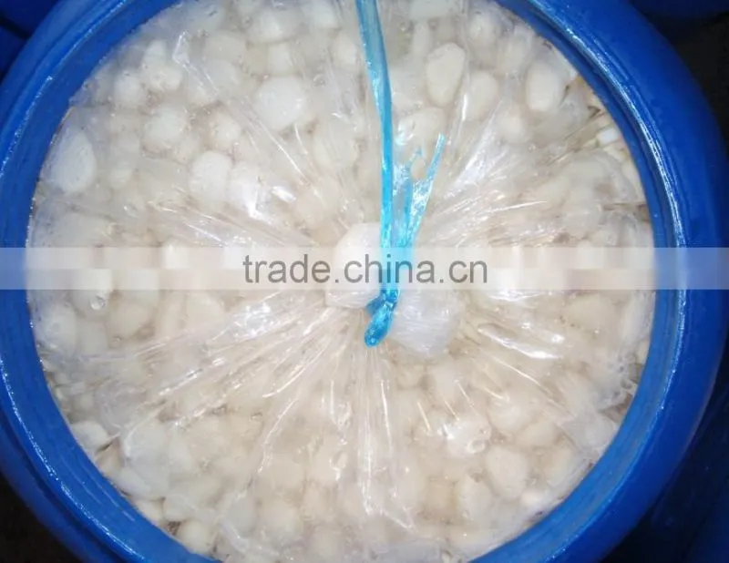 Garlic Segment In Brine