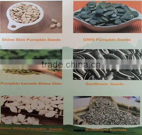 export shine skin pumpkin seeds 2015 new crop