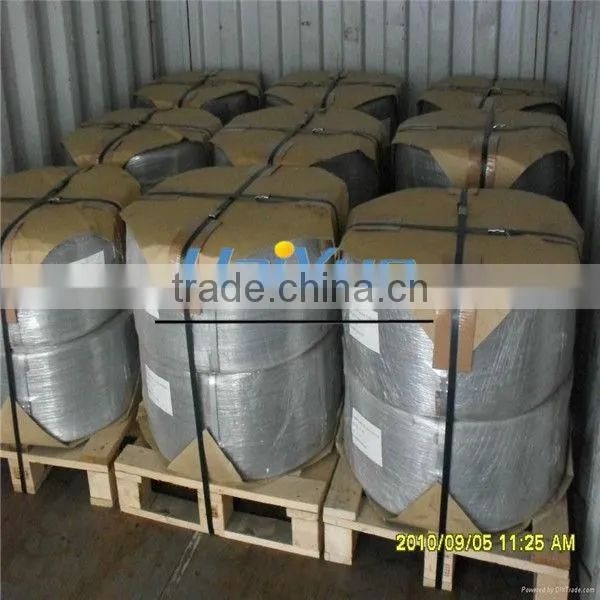 Electro Galvanized Wire (Haiyue Factory)