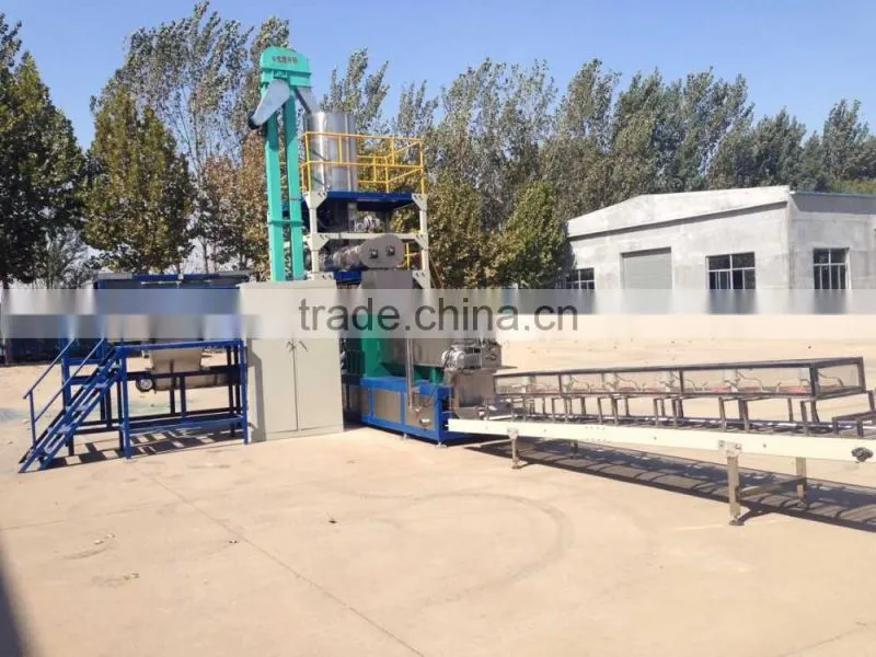 Fully Automatic Nutritional Rice Powder/Baby Food Snack Production Line