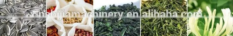 Factory hot sale digital control Small fruit drying machine