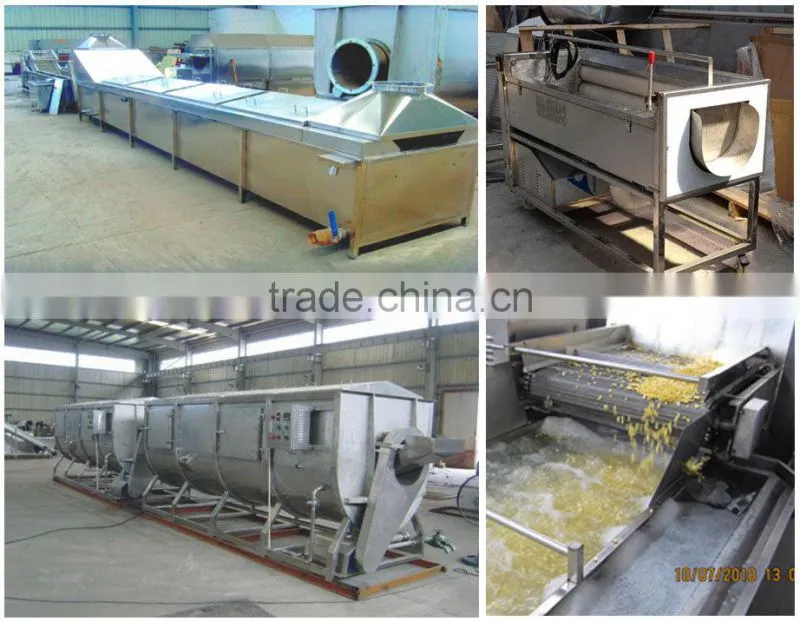 equipment from Guanfeng Food Machinery vegetables drying line