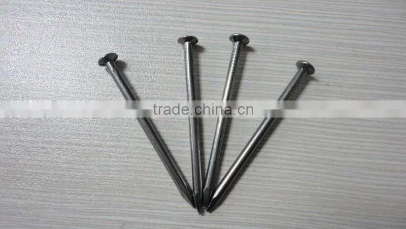 Best selling Polished Common Nails with Loose Package from china supplier