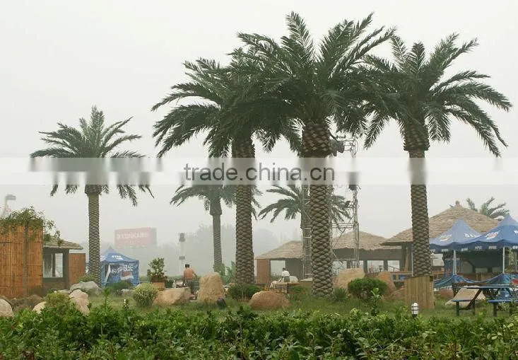 2017 artificial outdoor palm tree plastic palm tree palm trees sale