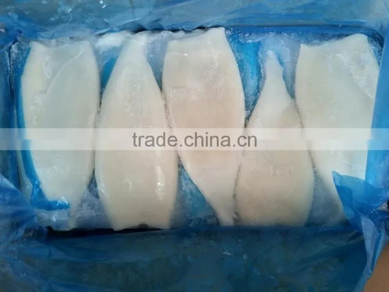 High Quality Squid tube from China on Hot Sale