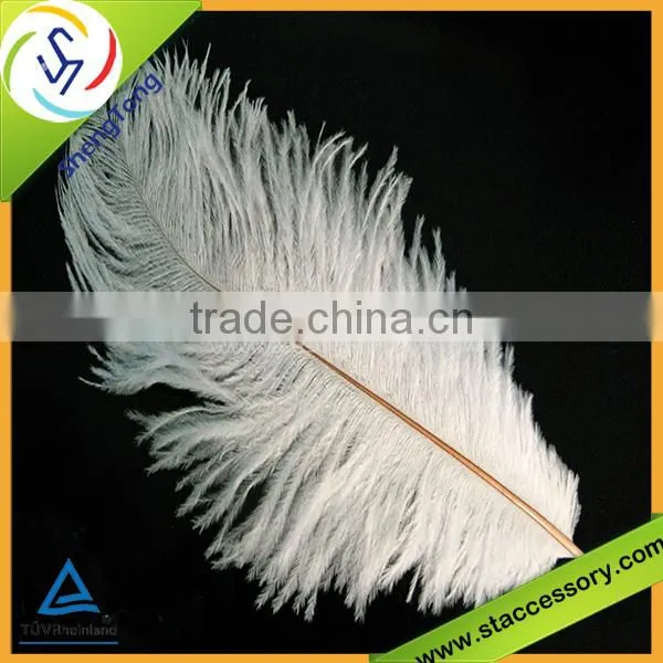 Hot sale wholesale white feather decorations
