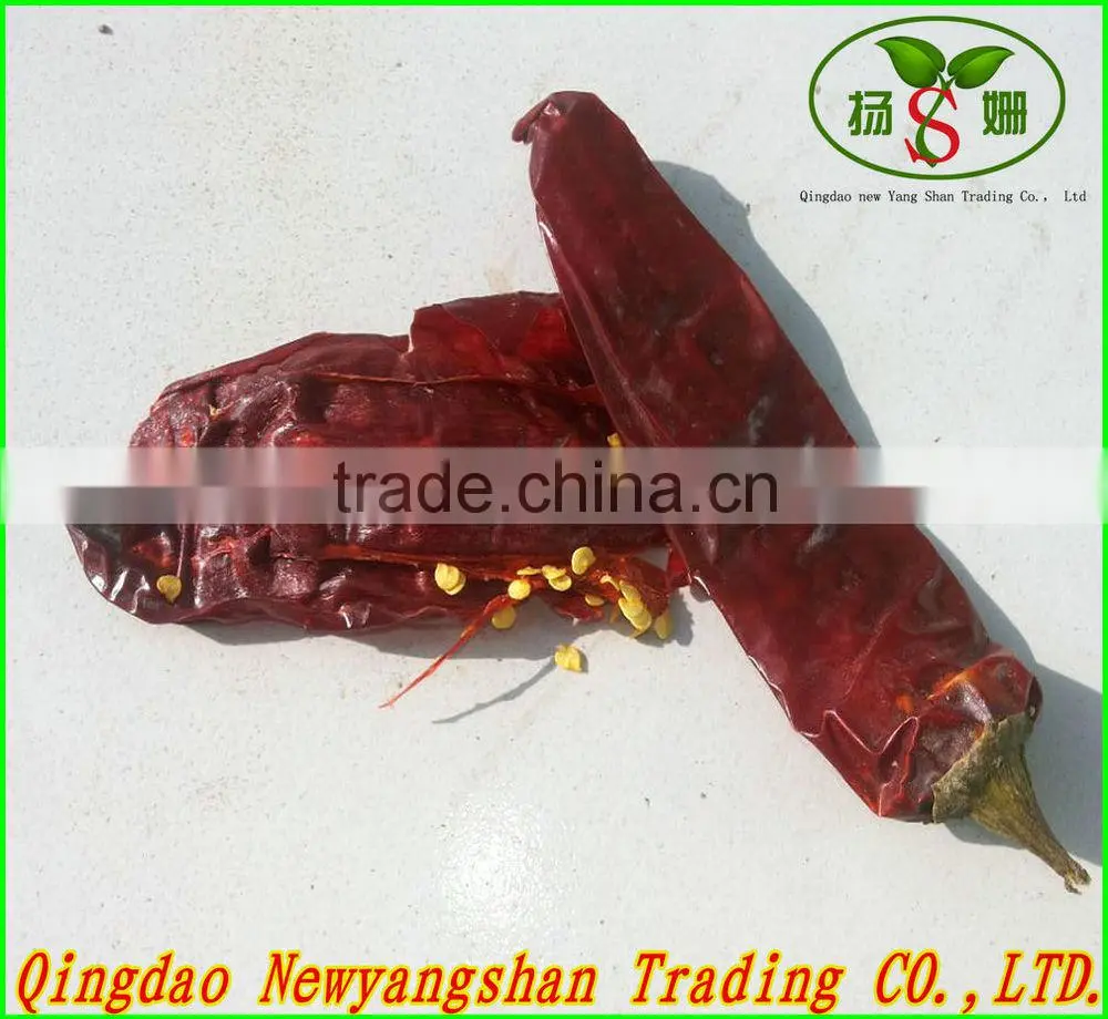 Dry Red Chilli Pods