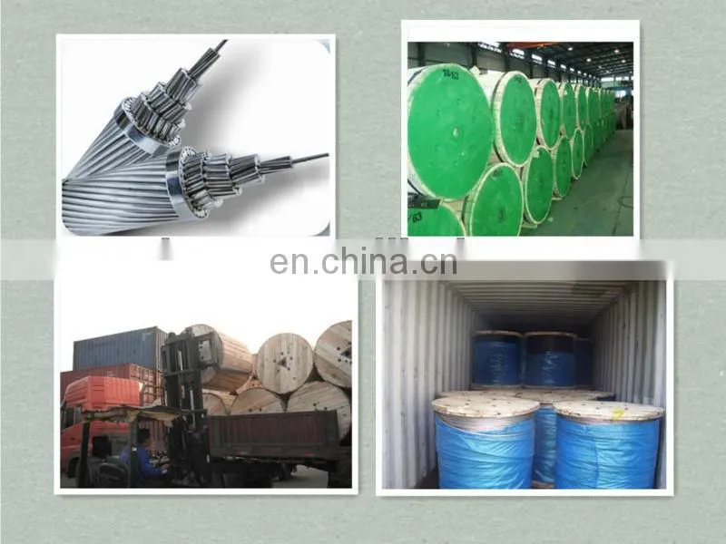 ASTM BS IEC DIN GOST Standard AAC ACSR bare Conductor Cable