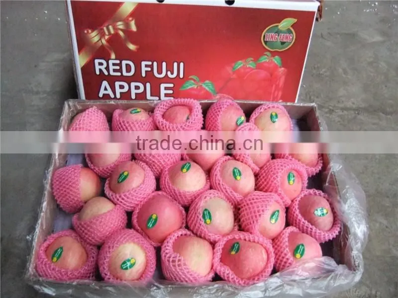 2015 Shandong origin fresh fuji apple