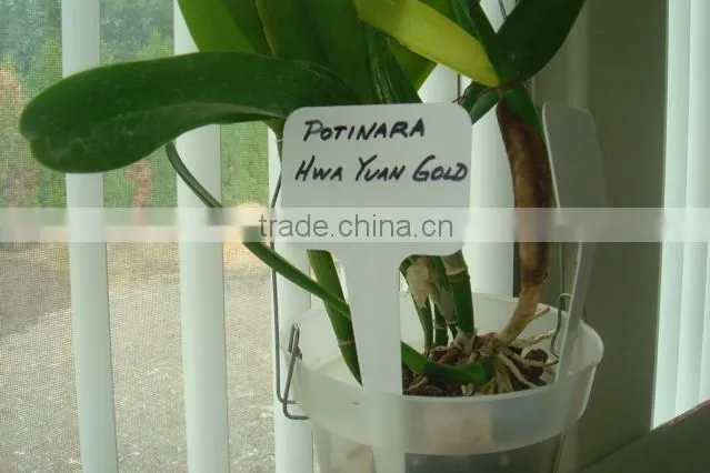 plastic planter label
