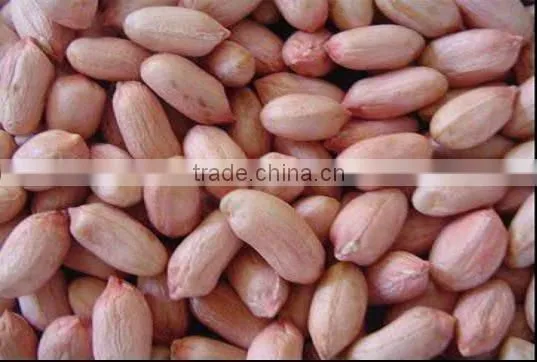 Best price raw washed peanut in shell for sale