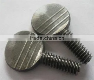 Large Flat Head Screws