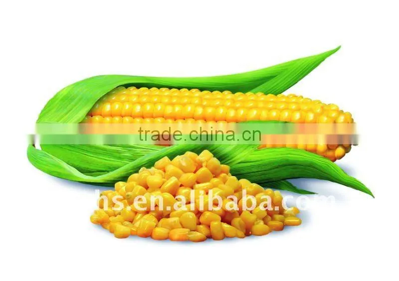 Canned Sweet Corn