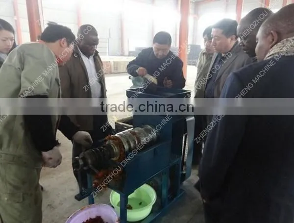 edible oil standard Mini Palm kernel/Palm fruit oil mill palm fruit oil press machine