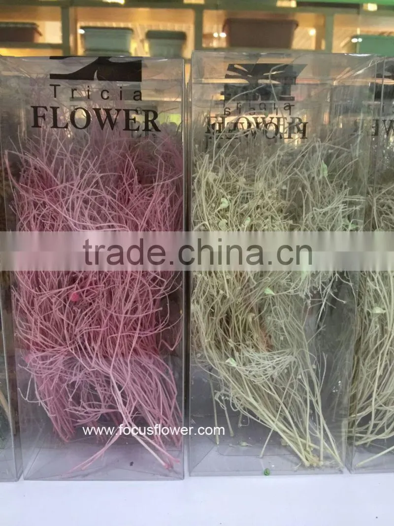 Names Of Flowers Artificial Flower China Wedding Gypsophila Factory Directly Sell