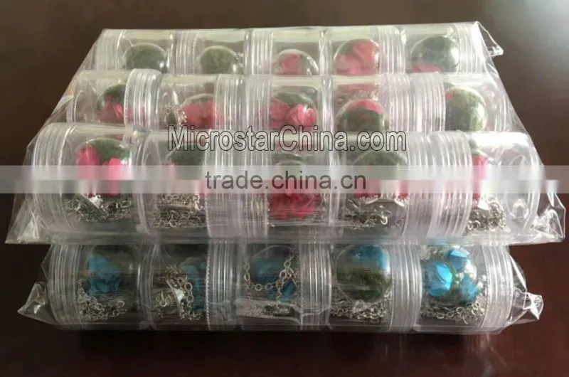 IN stock Wish Mini Bottle Necklace Dandelion Seeds Dried Flower Glass Necklace Handmade