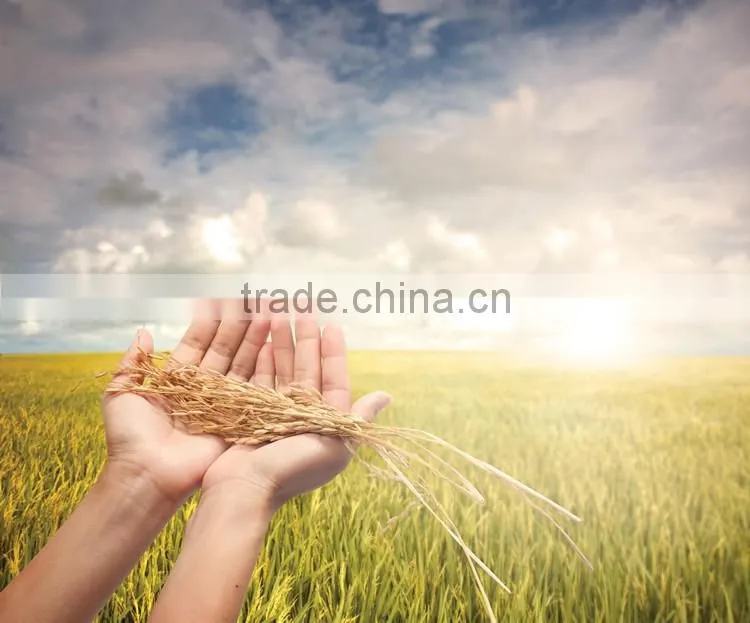bamboo cutting board,bamboo husk fiber cutting borard