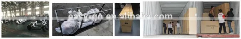 Newest design 1000w/800w City COCO scooter with sidecar with CE/RoHS/FCC certificate hot on sale