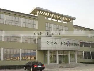 Longyao County Xuri Food Co., Ltd. company overview - view 2