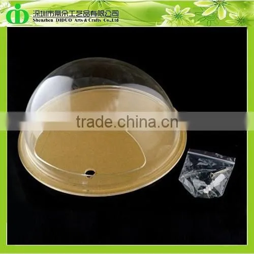 DDT-0069 Trade Assurance Aquarium Fish Price
