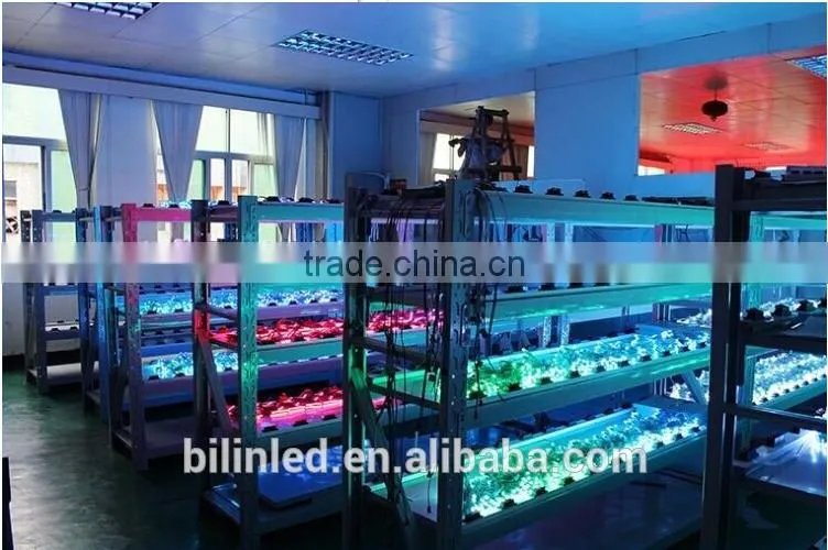12mm RGB LED digital pixel ucs1903 waterproof for outdoor sign light