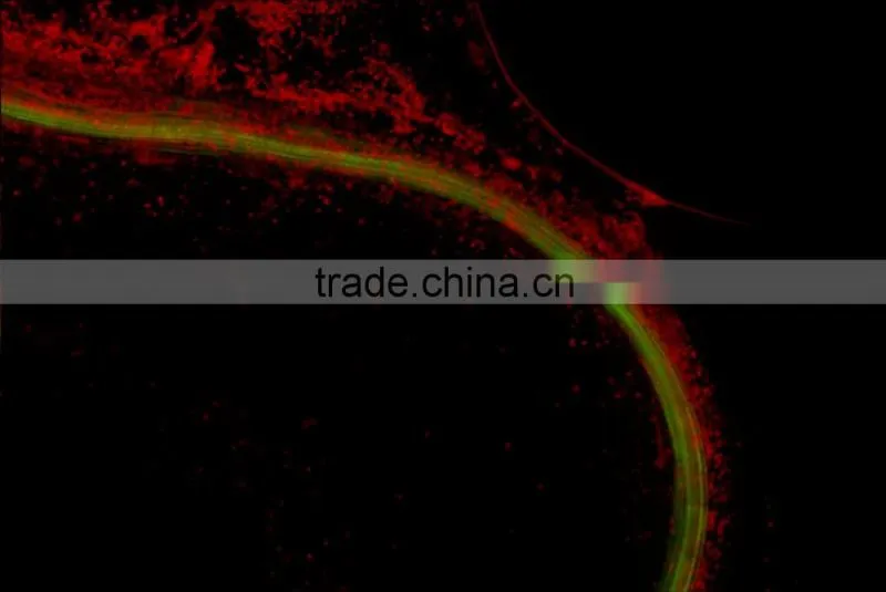 2016 Hot sale camera scientific research fluorescence Microscopic camera