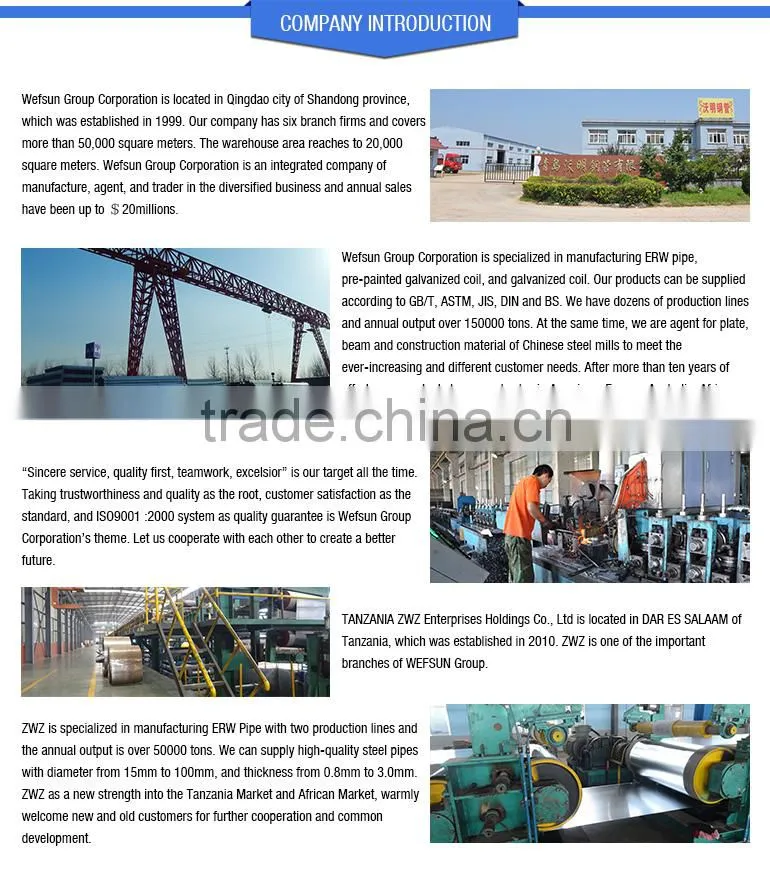 steel frame roof structure