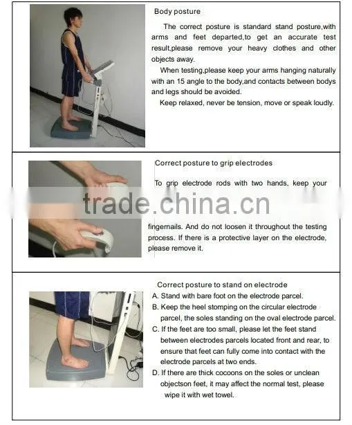 Professional body fat analyzer/body composition analyzer/body element analyzer TM-GS6.5