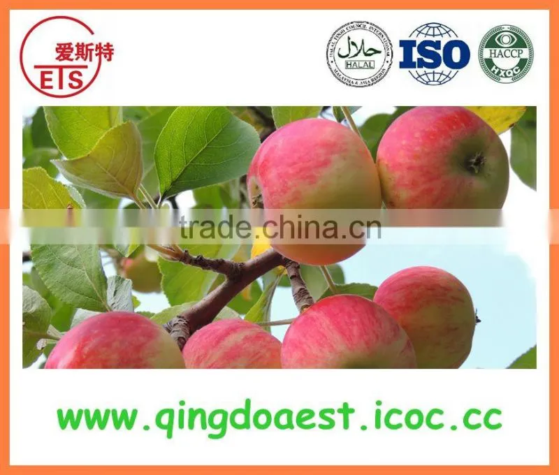 high quality blanched peanut kernel in bulk in china