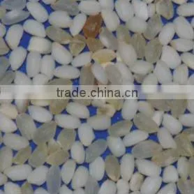 rice color sorting machinery
