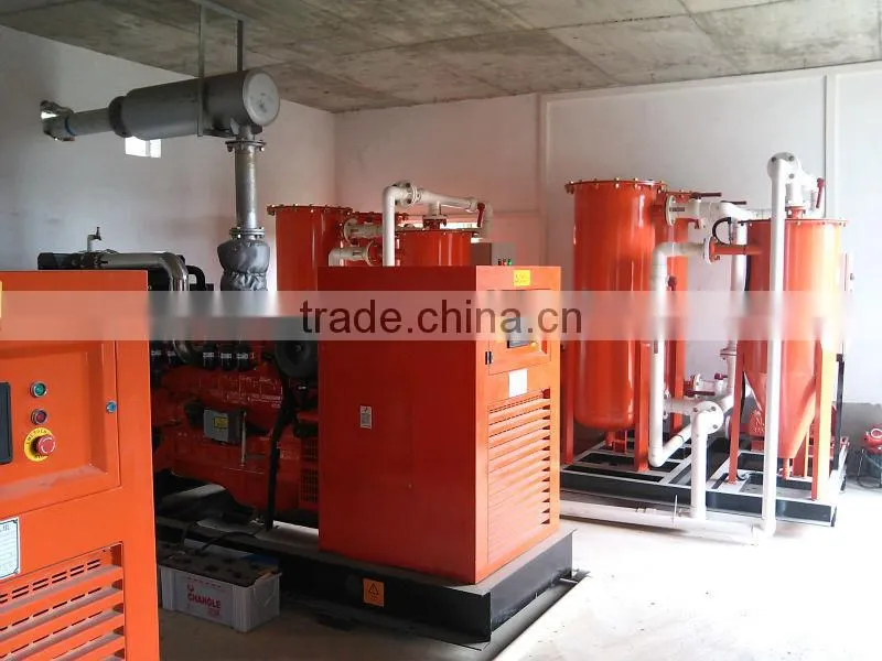 Farm Waste/Animal Waste Biogas Power Plant/Biomass Cogeneration Plant 20KW-500KW