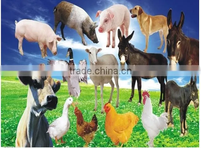 Vertical type factory supply poultry livestock feed grinder blender machine in china
