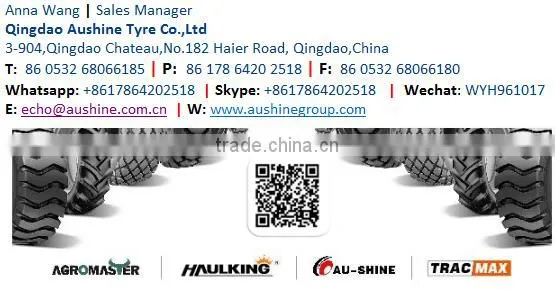 China factory new car tires 195/65R15, 205/55R16,SUV PCR tire, Winter/Summer Car tires