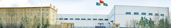 Henan HONGJI company overview - view 1