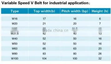 Variable Speed V Belt