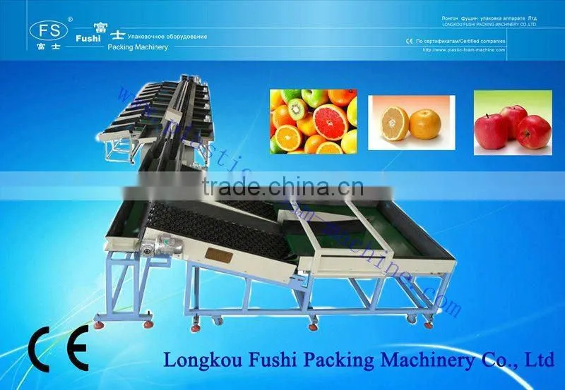 Fruit Grading Machine