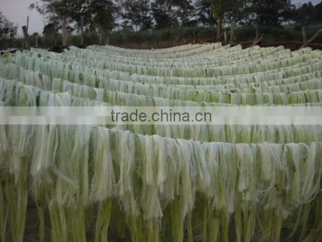 Plant fiber extraction machine