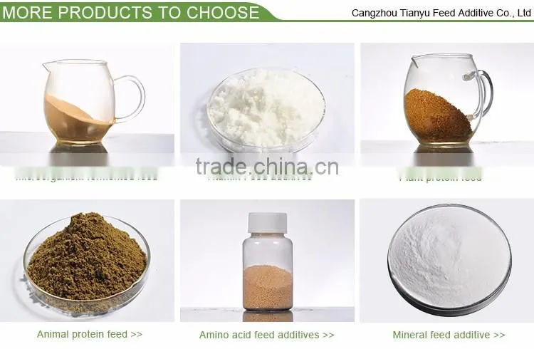 choline chloride/best price Choline Chloride 60% for poultry feed