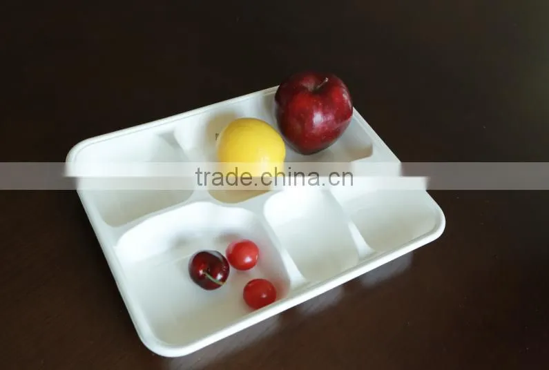 Biodegradable sugarcane food container 5-div